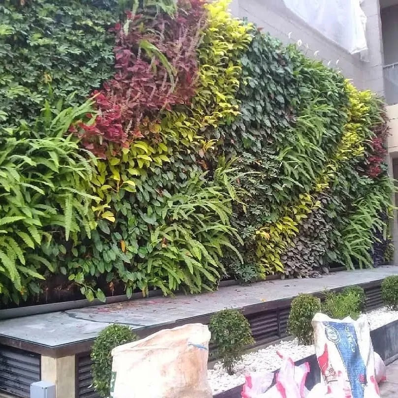 Tukang Taman | Gaes taman landscape whatsapp image 2026 05 03 at 12.53.05 (2)